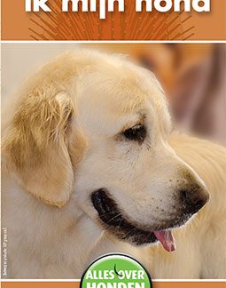 Zo borstel ik mijn hond